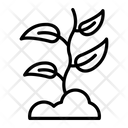 پیش‌نمایش فایل plant-3632670 از پک کشاورزی – جلد ۲