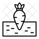 پیش‌نمایش فایل carrot-3632638 از پک کشاورزی – جلد ۱