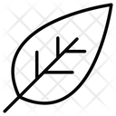پیش‌نمایش فایل leaf-3648459 از پک پاییز – جلد ۱