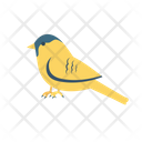 پیش‌نمایش فایل bird-3829479 از پک بهار – سبک فلت – جلد ۱
