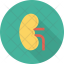 پیش‌نمایش فایل anatomy-29 از پک پزشکی و سلامت – جلد ۲