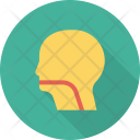 پیش‌نمایش فایل brain-315 از پک پزشکی و سلامت – جلد ۳