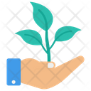 پیش‌نمایش فایل plant-growth-3866144 از پک اینترنت و بانکداری – جلد ۲
