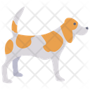 پیش‌نمایش فایل dog-3863207 از پک جرم و امنیت – جلد ۱
