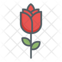 پیش‌نمایش فایل flowers-3893083 از پک عشق – جلد ۱