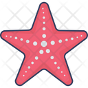 پیش‌نمایش فایل starfish-3801968 از پک تابستان – جلد ۲