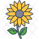 پیش‌نمایش فایل sunflower-3801975 از پک تابستان – جلد ۲