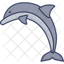 پیش‌نمایش فایل dolphin-3801936 از پک تابستان – جلد ۱