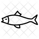 پیش‌نمایش فایل fish-3811103 از پک زیست‌شناسی – جلد ۱