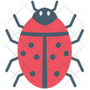 پیش‌نمایش فایل lady-bug-3810590 از پک آنتی‌ویروس – جلد ۱