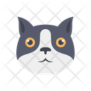 پیش‌نمایش فایل cat-3795875 از پک گربه