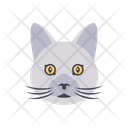 پیش‌نمایش فایل cat-face-3795890 از پک گربه