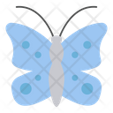 پیش‌نمایش فایل butterfly-4093264 از پک کشاورزی و باغبانی