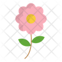 پیش‌نمایش فایل flower-4093277 از پک کشاورزی و باغبانی