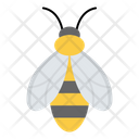 پیش‌نمایش فایل honey-bee-4093260 از پک کشاورزی و باغبانی