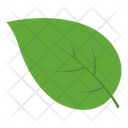 پیش‌نمایش فایل leaf-4093288 از پک کشاورزی و باغبانی
