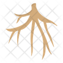 پیش‌نمایش فایل root-4093249 از پک کشاورزی و باغبانی
