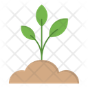 پیش‌نمایش فایل sprout-4093298 از پک کشاورزی و باغبانی