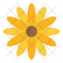 پیش‌نمایش فایل sunflower-4093275 از پک کشاورزی و باغبانی