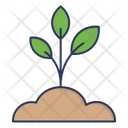 پیش‌نمایش فایل sprout-4093586 از پک کشاورزی و باغبانی