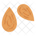 پیش‌نمایش فایل almond-4130908 از پک میوه‌ها و سبزیجات – جلد ۱