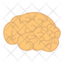 پیش‌نمایش فایل brain-4130917 از پک میوه‌ها و سبزیجات – جلد ۱