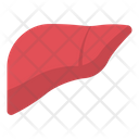 پیش‌نمایش فایل liver-4130894 از پک میوه‌ها و سبزیجات – جلد ۱