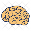 پیش‌نمایش فایل brain-4131069 از پک میوه‌ها و سبزیجات – جلد ۱