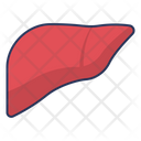 پیش‌نمایش فایل liver-4131096 از پک میوه‌ها و سبزیجات – جلد ۱