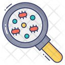 پیش‌نمایش فایل bacteria-search-3779522 از پک علم – جلد ۱