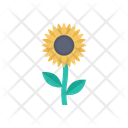پیش‌نمایش فایل sun-flower-3778735 از پک کشاورزی – جلد ۱