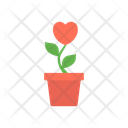 پیش‌نمایش فایل flower-pot-3778853 از پک ماه‌عسل – جلد ۱