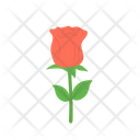 پیش‌نمایش فایل rose-3778881 از پک ماه‌عسل – جلد ۲
