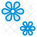 پیش‌نمایش فایل flower-960 از پک زیبایی و فضا – جلد ۳
