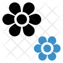 پیش‌نمایش فایل flower-966 از پک زیبایی و اسپا – جلد ۳