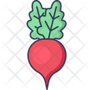 پیش‌نمایش فایل beetroot-4231462 از پک سبزیجات