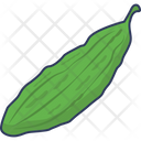 پیش‌نمایش فایل bitter-gourd-4231465 از پک سبزیجات
