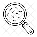 پیش‌نمایش فایل search-bacteria-4229455 از پک آموزش و پرورش
