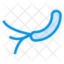 پیش‌نمایش فایل bacteria-122 از پک علم – جلد ۲