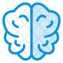 پیش‌نمایش فایل brain-344 از پک علم – جلد ۲