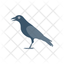 پیش‌نمایش فایل crow-9 از پک Halloween Flat 