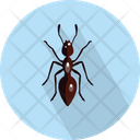پیش‌نمایش فایل ant-3060336 از پک حیوانات پرندگان