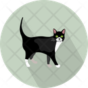 پیش‌نمایش فایل cat-3060379 از پک حیوانات پرندگان