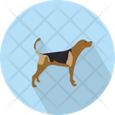 پیش‌نمایش فایل dog-3060372 از پک حیوانات پرندگان