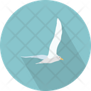 پیش‌نمایش فایل dove-3060370 از پک حیوانات پرندگان