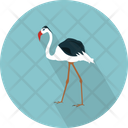 پیش‌نمایش فایل flamingo-3060365 از پک حیوانات پرندگان