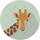 پیش‌نمایش فایل giraffe-head-3060364 از پک حیوانات پرندگان
