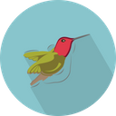 پیش‌نمایش فایل humming-bird-3060362 از پک حیوانات پرندگان