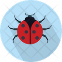 پیش‌نمایش فایل ladybird-3060359 از پک حیوانات پرندگان