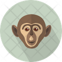 پیش‌نمایش فایل monkey-head-3060357 از پک حیوانات پرندگان